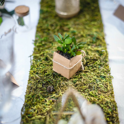 Mariage VEGETAL