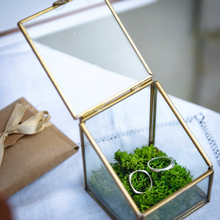 Terrarium