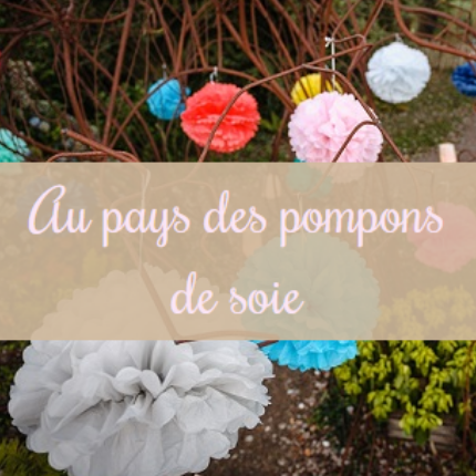 POMPONS DE SOIE